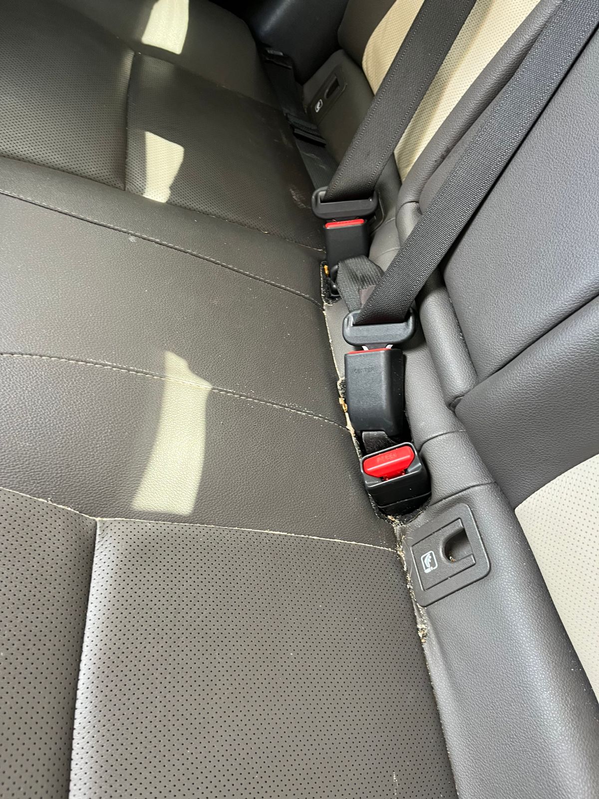 Interior detalhado do carro - Pirata Lava Car